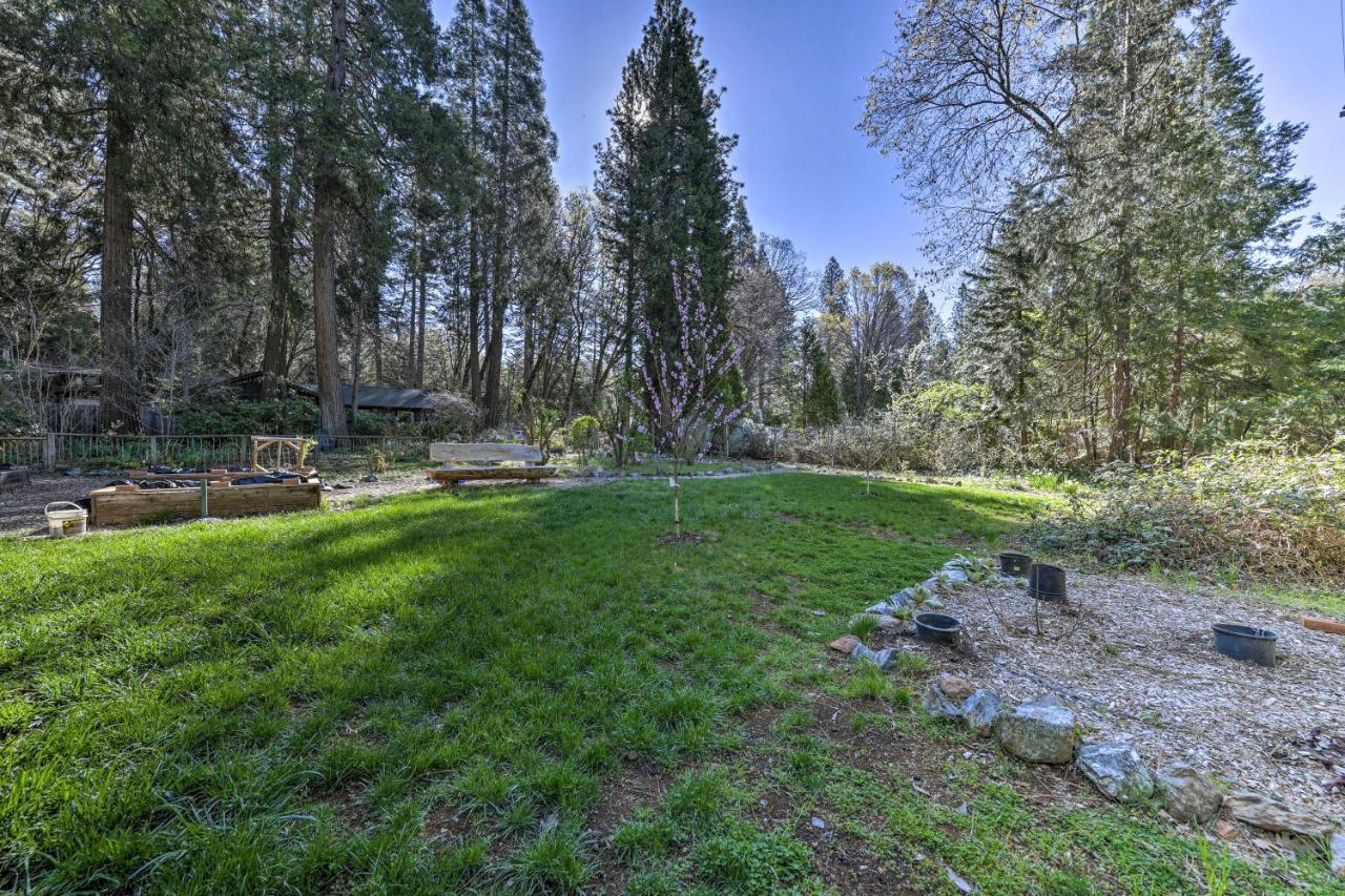 Peaceful Grass Valley Cottage With Bbq Grill And Yard! Exterior photo