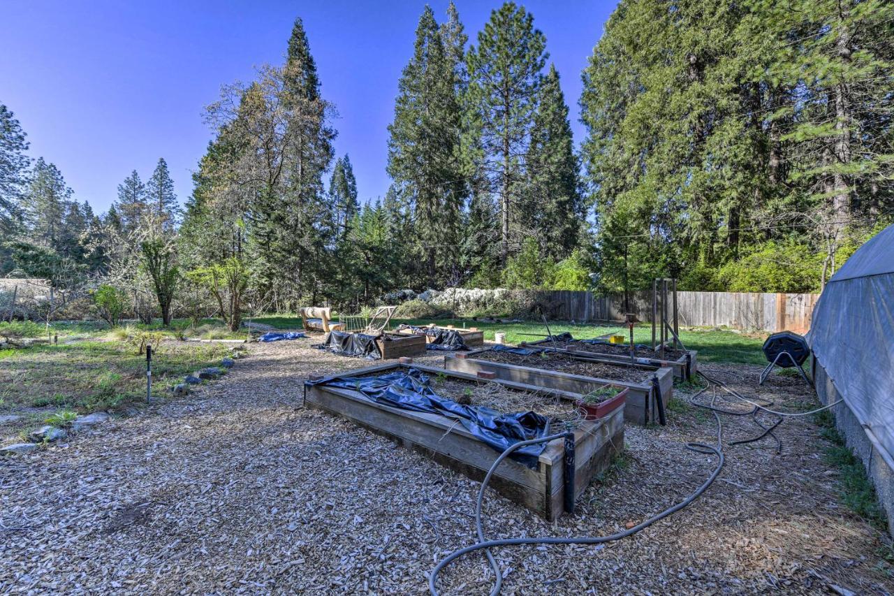 Peaceful Grass Valley Cottage With Bbq Grill And Yard! Exterior photo