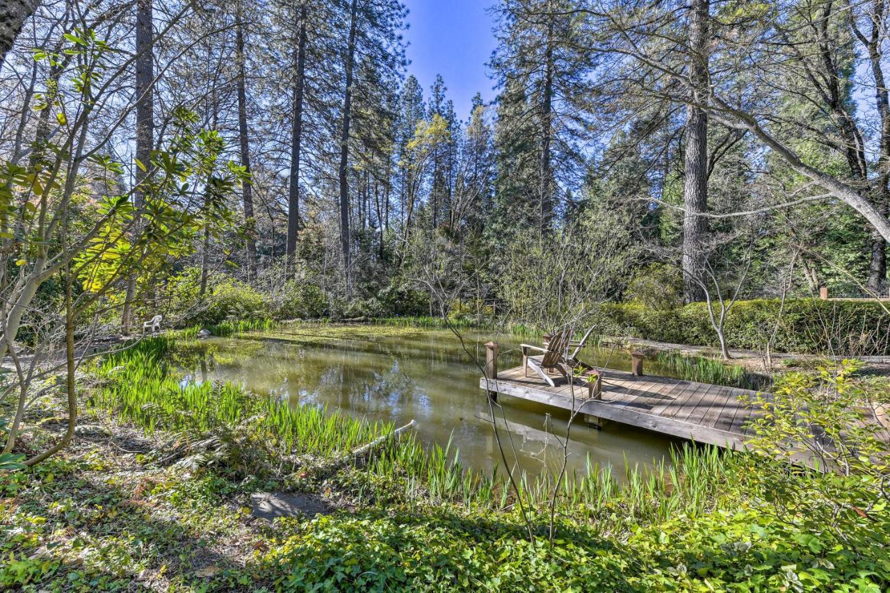 Peaceful Grass Valley Cottage With Bbq Grill And Yard! Exterior photo